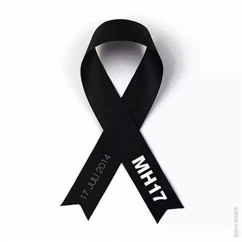 mh17